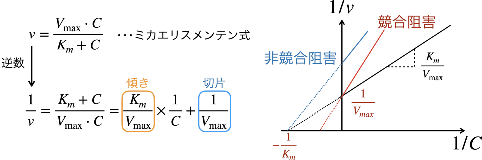 ラインウィーバー・バークプロット