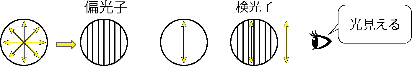 旋光のイメージ