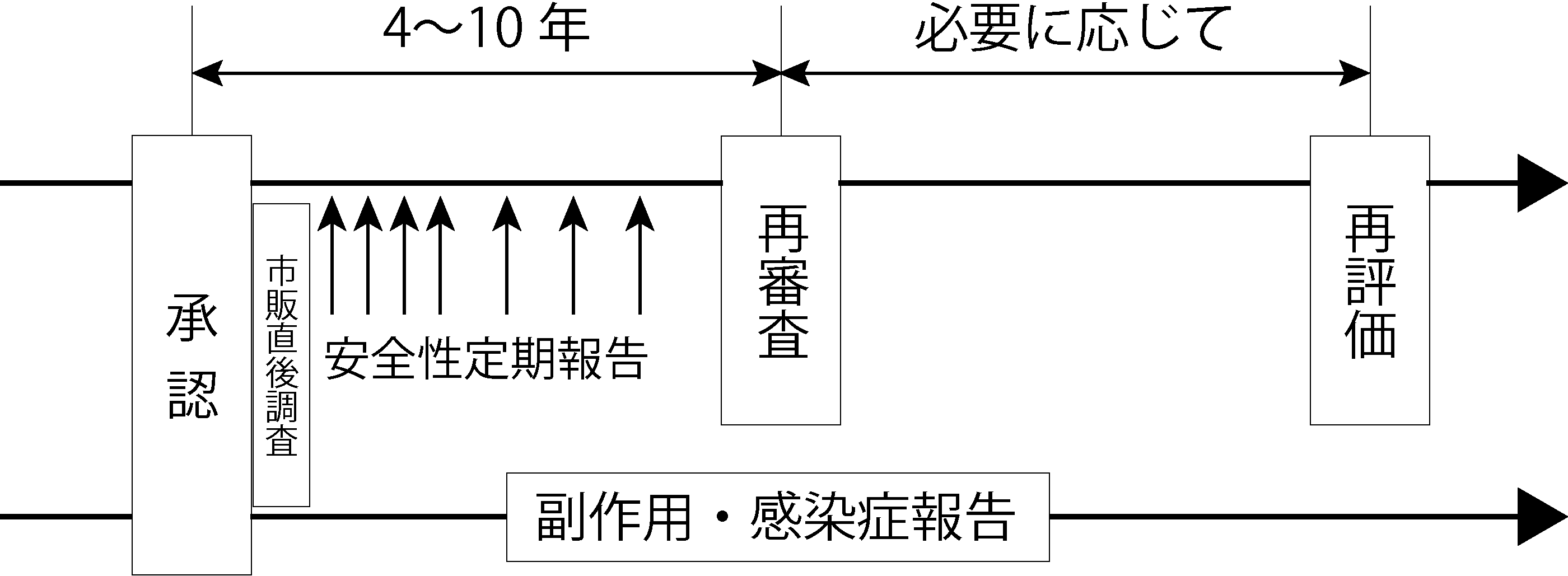 承認後の制度の時系列図(承認→市販直後調査→安全性定期報告→4〜10年後に再審査→必要に応じて再評価、承認後ずっと副作用・感染症報告)