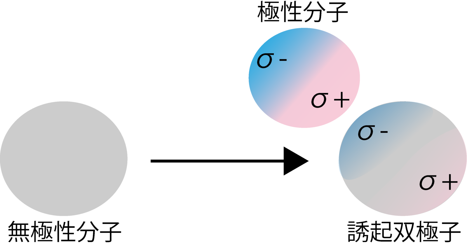 誘起双極子