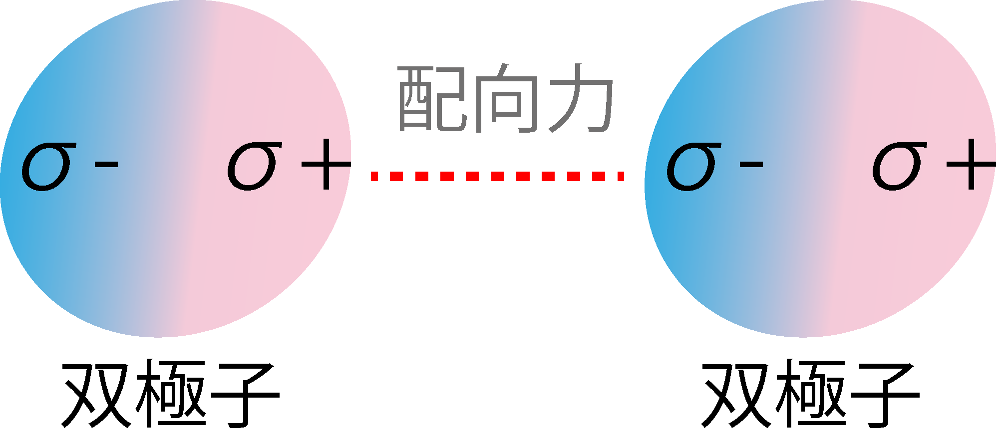配向力