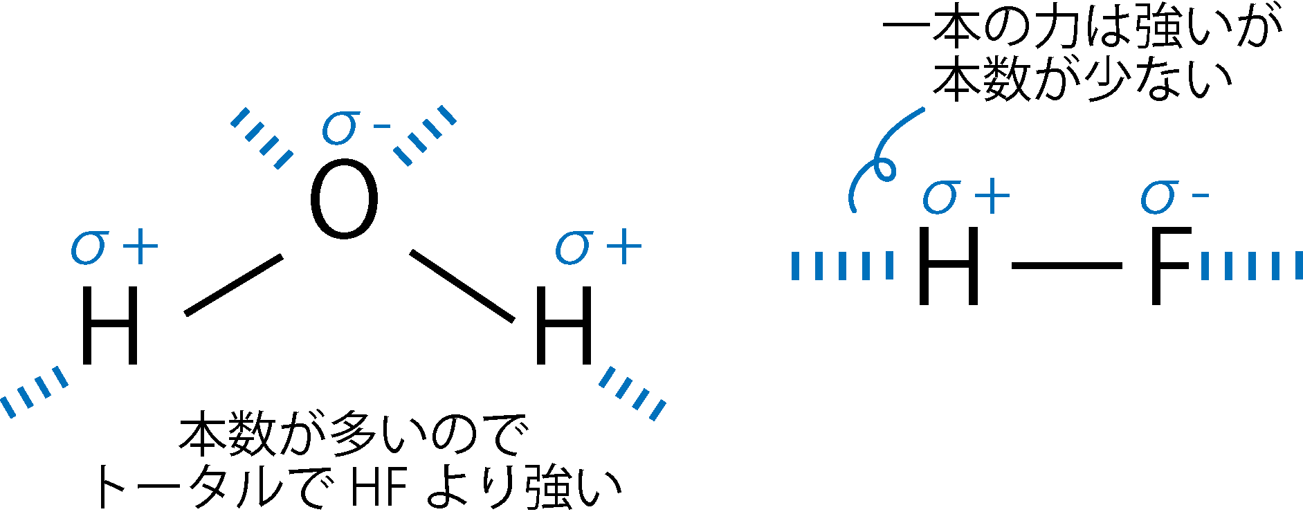 H₂Oは腕が4本、HFは2本