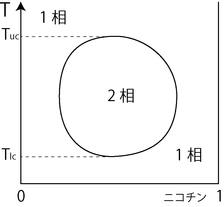 上部と下部の両方をもつ系