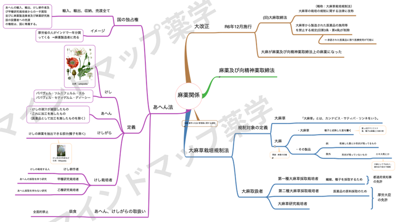 麻薬関係のマインドマップ(令和6年12月施行の大改正・麻薬及び向精神薬取締法・大麻草栽培規制法・あへん法)