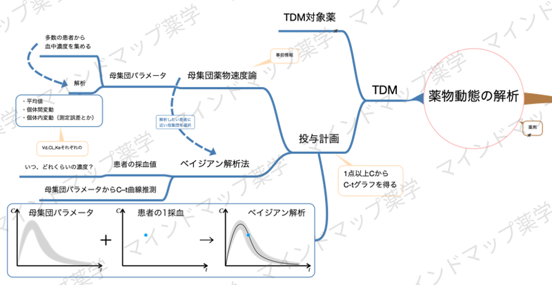 投与計画のマインドマップ