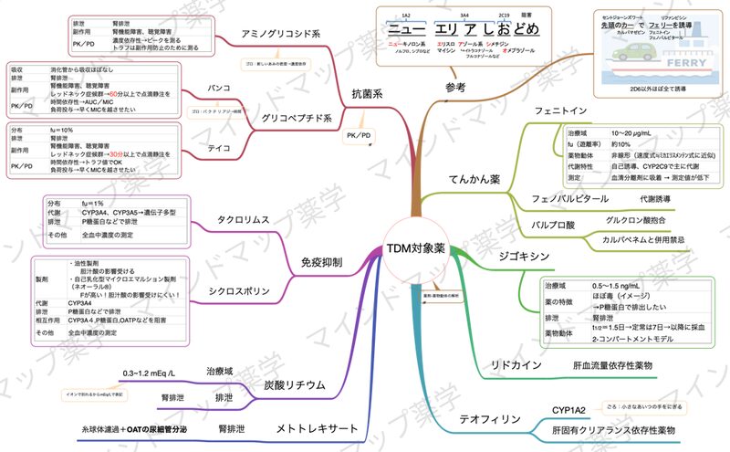 TDM対象薬のマインドマップ