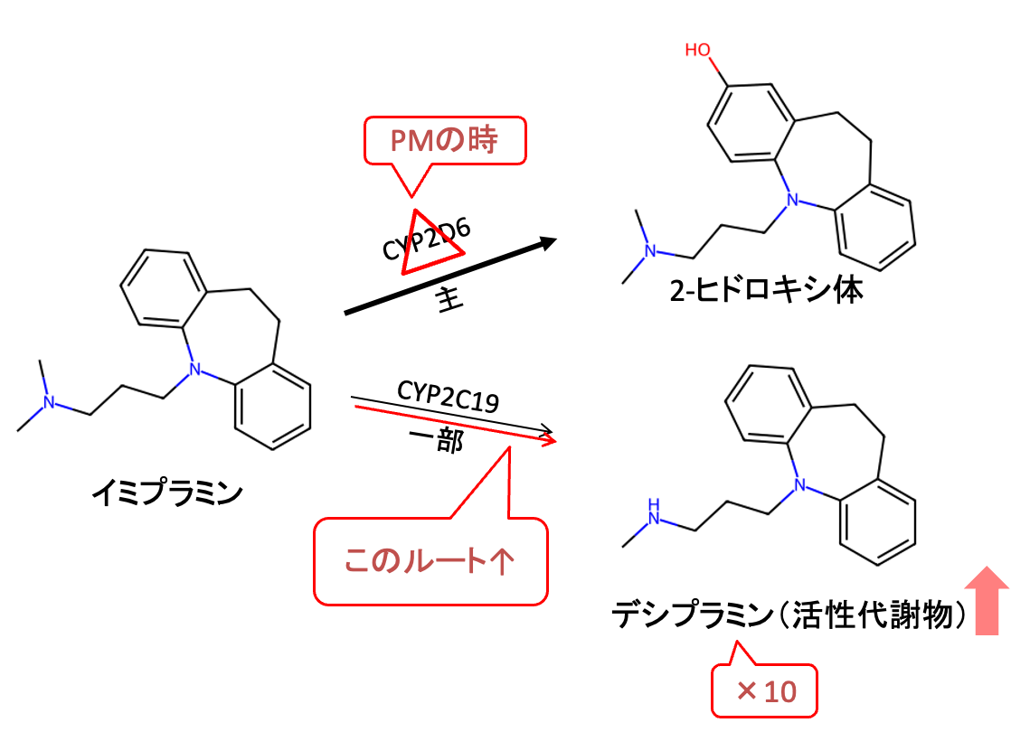 イミプラミンの代謝経路
