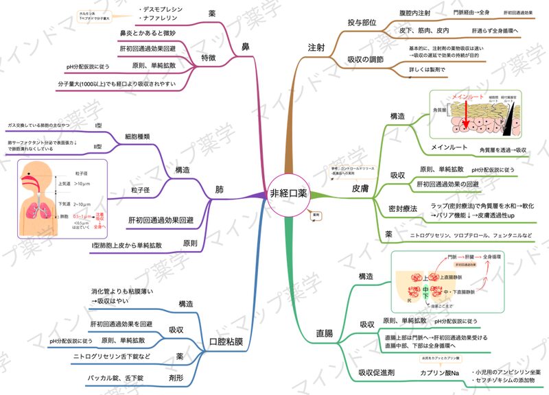 非経口薬のマインドマップ