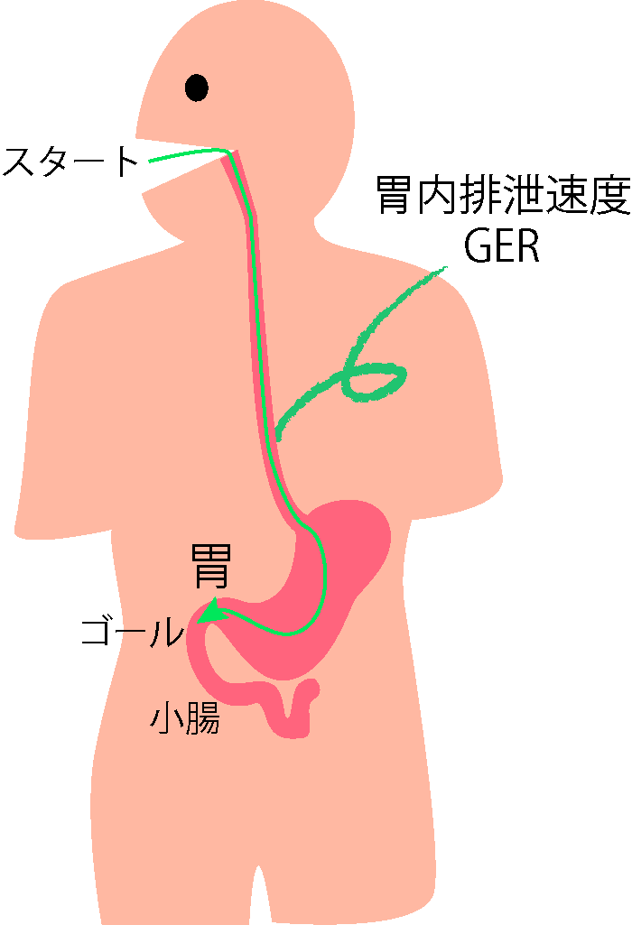 GER(胃内容排出速度)の定義
