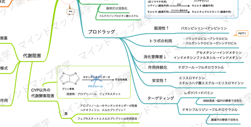 プロドラッグのマインドマップ