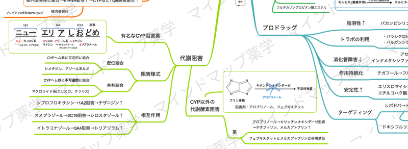 代謝阻害のマインドマップ
