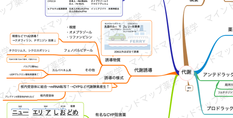 代謝誘導のマインドマップ