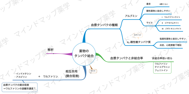 薬物のタンパク結合のマインドマップ