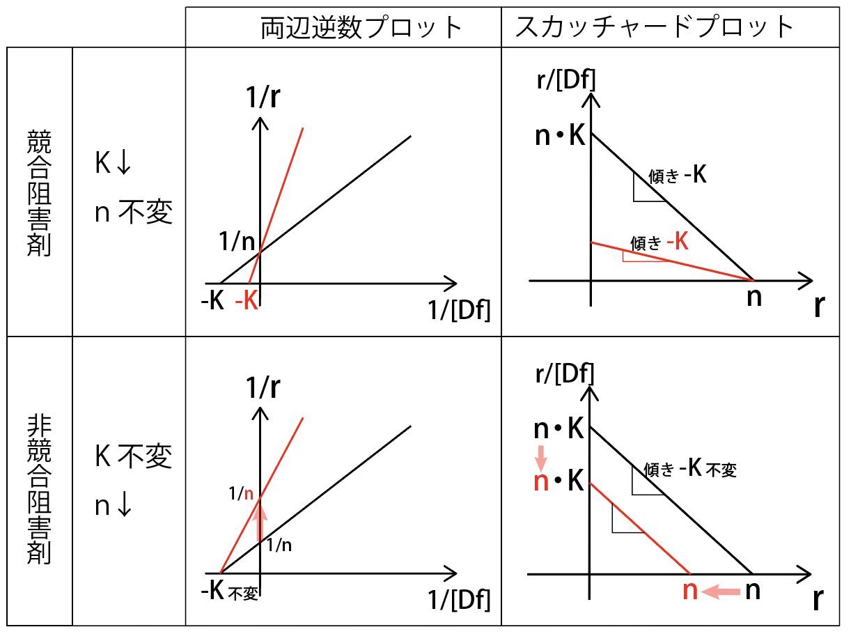 競合阻害・非競合阻害とグラフの変化