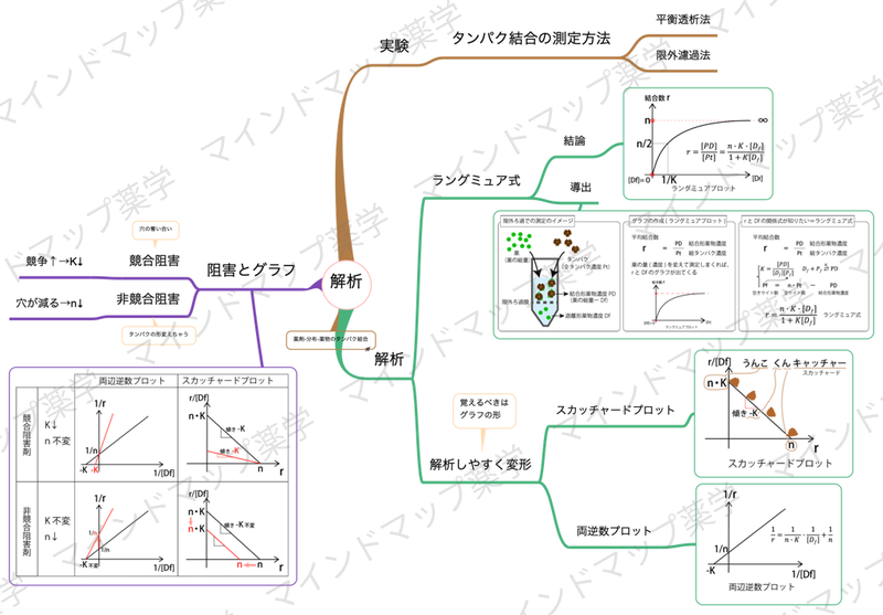タンパク結合の解析のマインドマップ