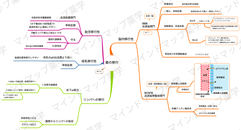 薬の移行性のマインドマップ